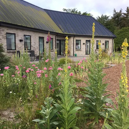 Bed & Breakfast Bulbjerguld Bb *