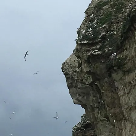 Bulbjerguld Bb Bed and Breakfast *