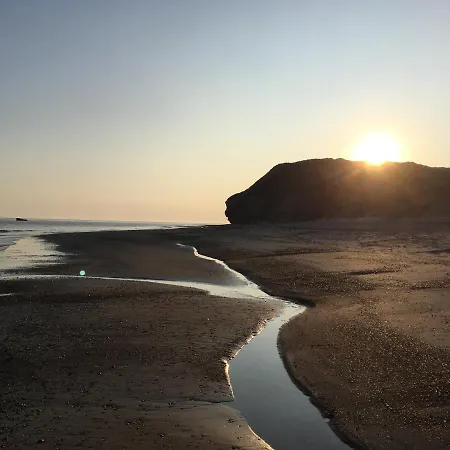 Bulbjerguld Bb * Frostrup