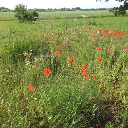 Bed and breakfast Bulbjerguld Bb