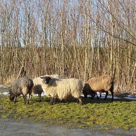 Bed & Breakfast Bulbjerguld Bb