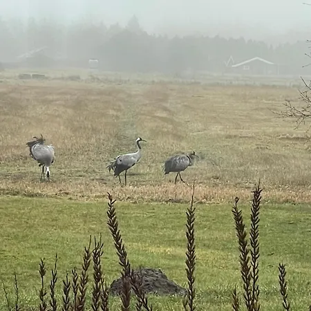 Bulbjerguld Bb Bed and Breakfast *