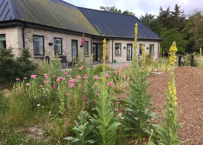 Bed & Breakfast Bulbjerguld Bb *