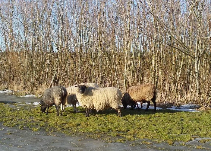 Bed & Breakfast Bulbjerguld Bb